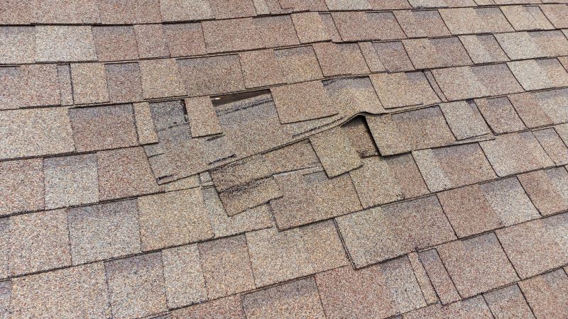 Shingle Repair